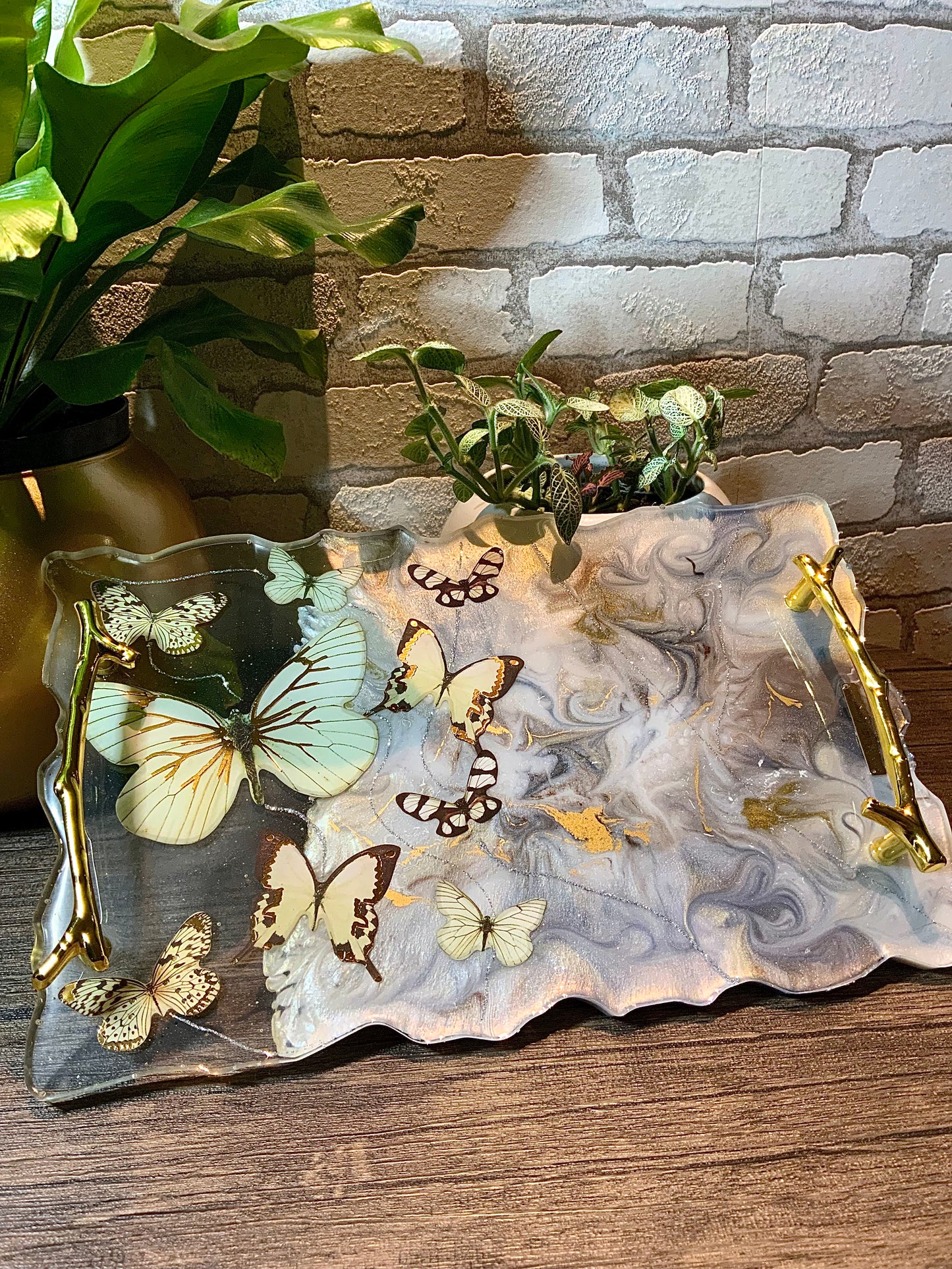 Bandeja Naturama 🦋